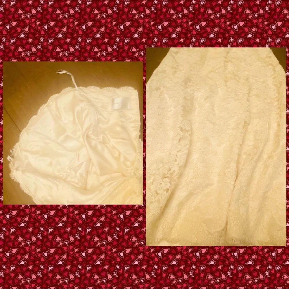 Monique Lhuillier Wedding Gown Dress - Picture 6 of 14